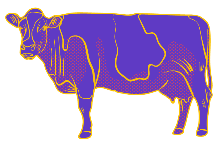 Cómo Ordeñar Una Vaca Púrpura